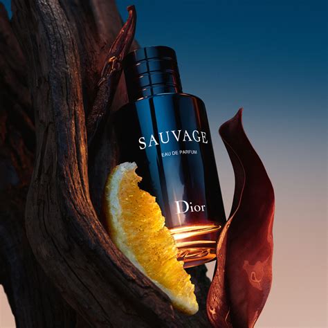 sauvage dior nocibe